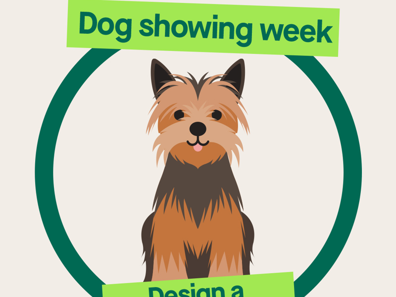 Design A Collar And Lead Graphic