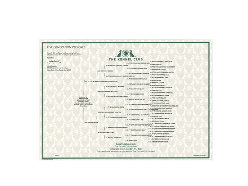 Five generation pedigree