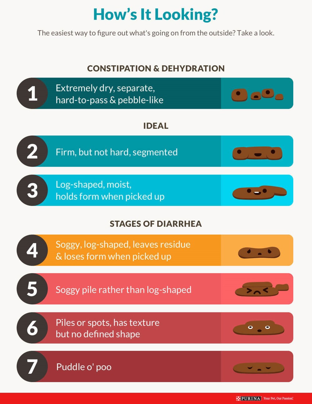 Poo chart