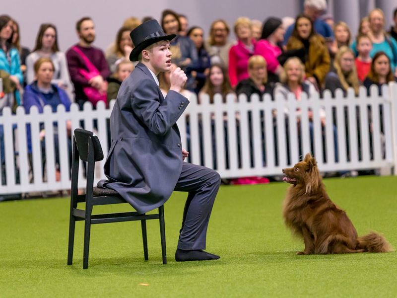 YKC member competing in heelwork to music