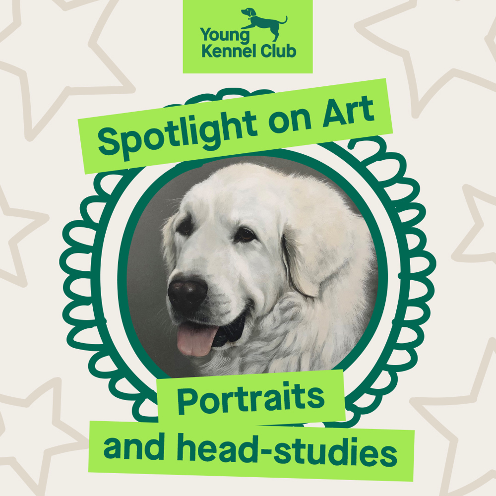 February Spotlight on art